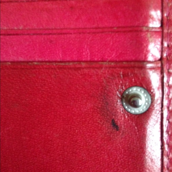 Vera Pelle - Picture 7 of 8